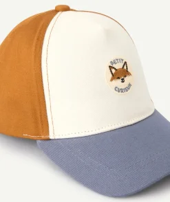 Casquette bébé colorblock imprimé renard
