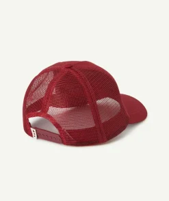 Casquette garçon bordeaux thème chicago université