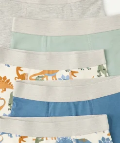 Lot 5 boxers garçon imprimé dinosaures