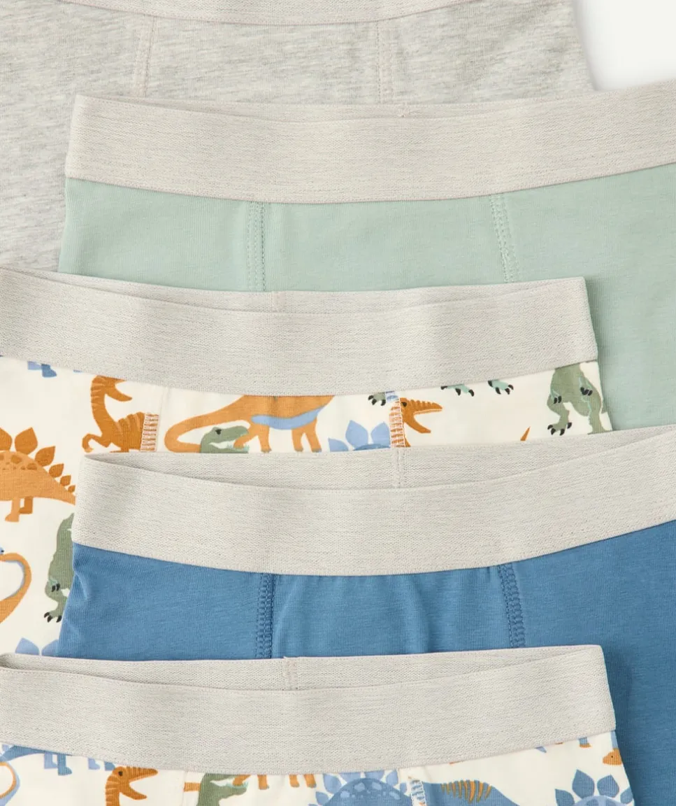 Lot 5 boxers garçon imprimé dinosaures