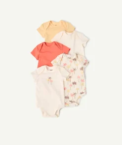 Lot de bodies bébé fille imprimés palmiers