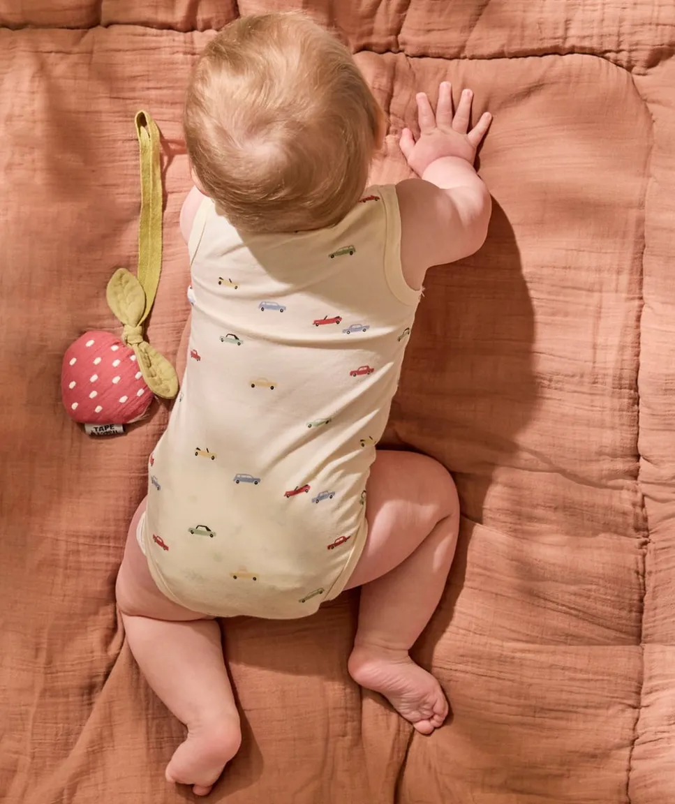 Lot de 3 bodies bébé garçon coton imprimé