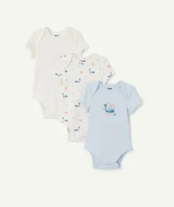 Lot de 3 bodies bébé garçon imprimés baleine coton