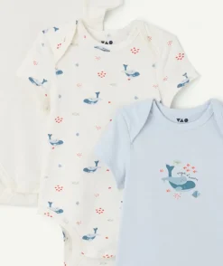 Lot de 3 bodies bébé garçon imprimés baleine coton