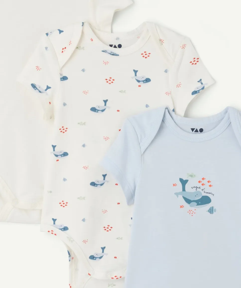 Lot de 3 bodies bébé garçon imprimés baleine coton
