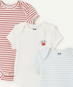 Lot de 3 bodies naissance garçon coton rayés imprimé