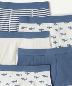 Lot de boxers garçon coton imprimé
