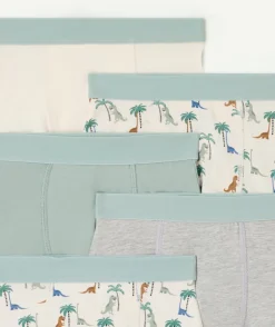 Lot de boxers garçon imprimés dinosaures