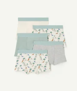 Lot de boxers garçon imprimés dinosaures