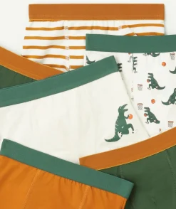 Lot de 7 boxers pour garçon thème dinosaures