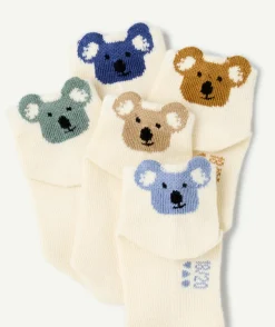 Lot de 5 chaussettes bébé garçon