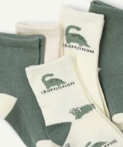 Lot de chaussettes bébé garçon imprimé dinosaure