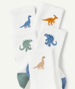 Lot de 5 chaussettes blanches pour garçon motif dinosaures