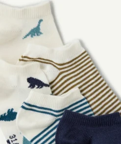 Lot de chaussettes garçon imprimé dinosaure