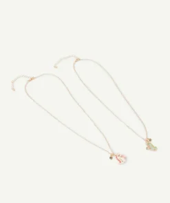 Lot de 2 colliers bff dinosaures
