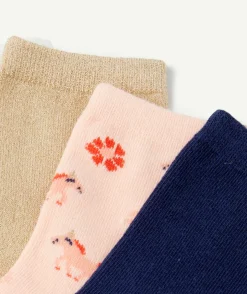 Lot de 5 paires de chaussettes garçon bleu gris et blanc