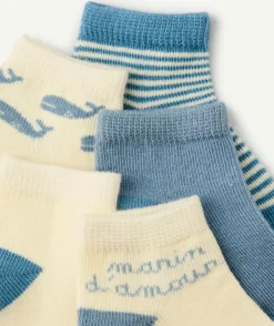 Lot de 5 socquettes bébé garçon motifs bleus