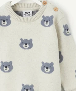 Pull bébé garçon gris motifs ours