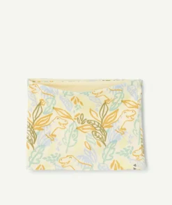 Snood bébé garçon imprimé dinosaures