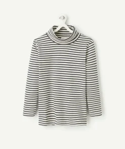 Sous-pull manches longues garçon en coton biologique à rayures gris et bleu