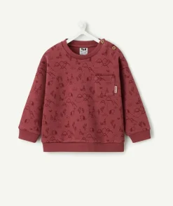 Sweat bébé garçon imprimé fantaisie bordeaux