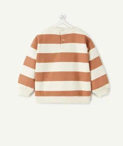 Sweat bébé garçon marron rayé