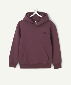 Sweat à capuche garçon couleur prune