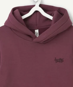 Sweat à capuche garçon couleur prune