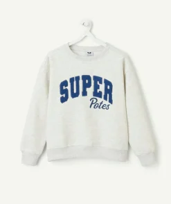 Sweat garçon gris imprimé super potes
