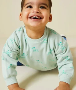 Sweat manches longues bébé garçon 100% coton imprimé oiseau