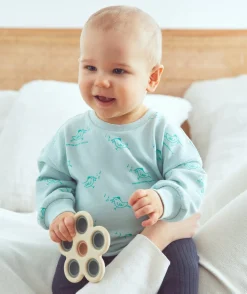 Sweat manches longues bébé garçon 100% coton imprimé oiseau