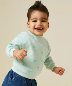 Sweat manches longues bébé garçon 100% coton imprimé oiseau