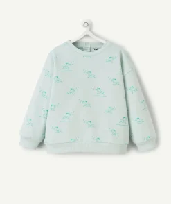 Sweat manches longues bébé garçon 100% coton imprimé oiseau