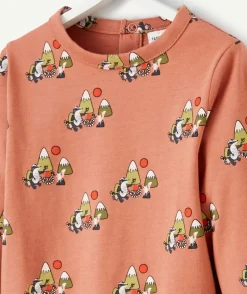 T-shirt bébé garçon en coton bio rouille imprimé avec écureuils et montagnes